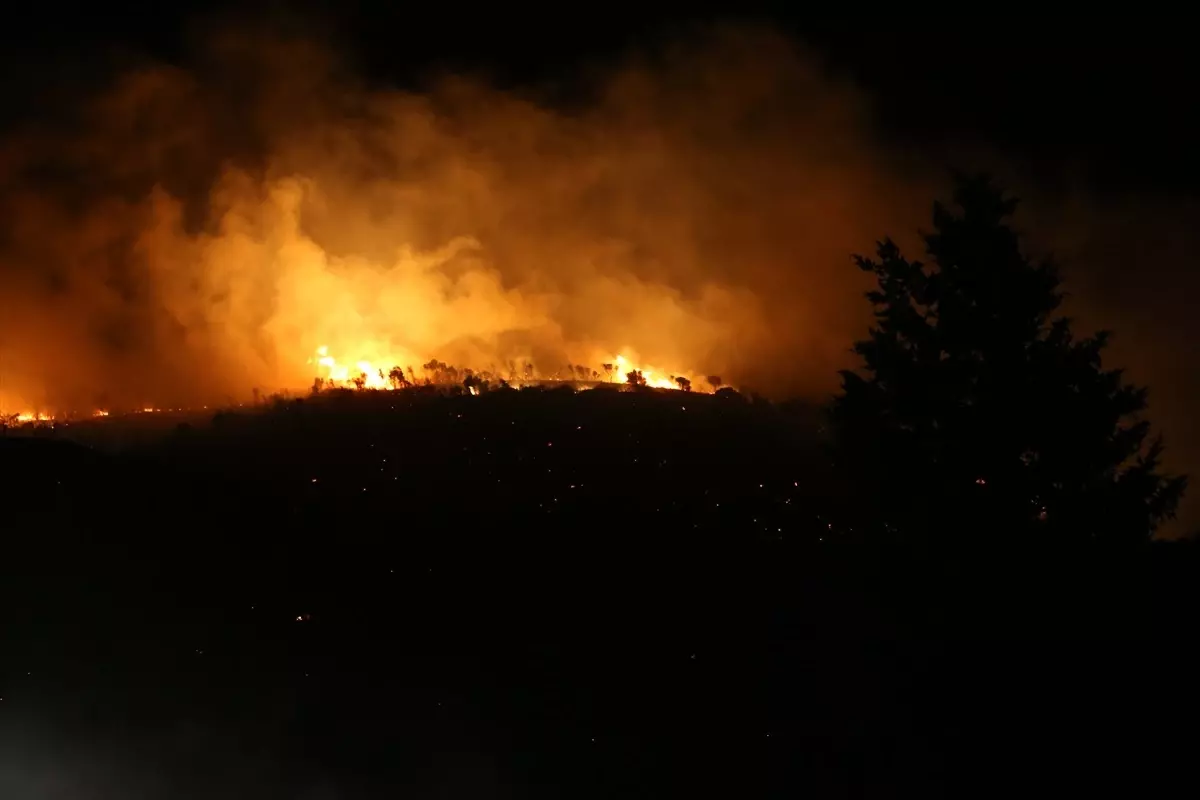 bursada orman yangini kontrol altinda yJbXJEbK