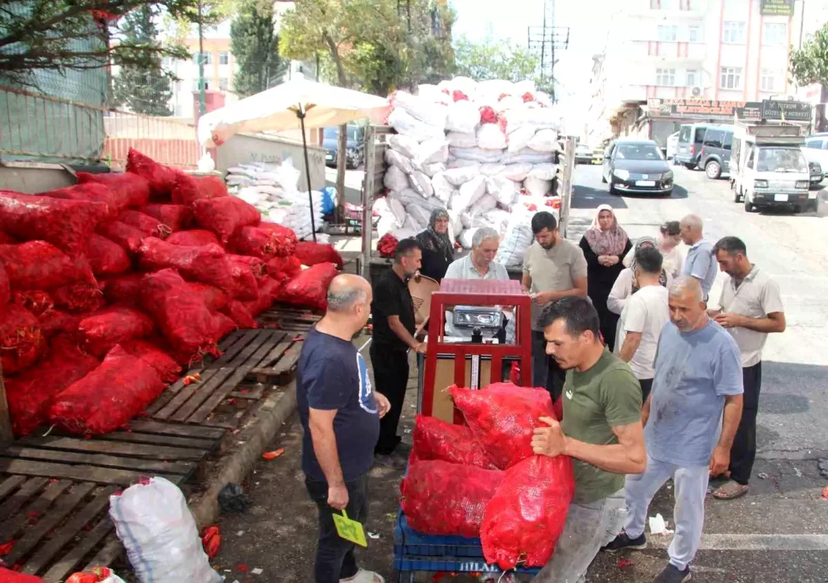 gaziantepte biber salcasi sezonu basladi 8OzClJRI