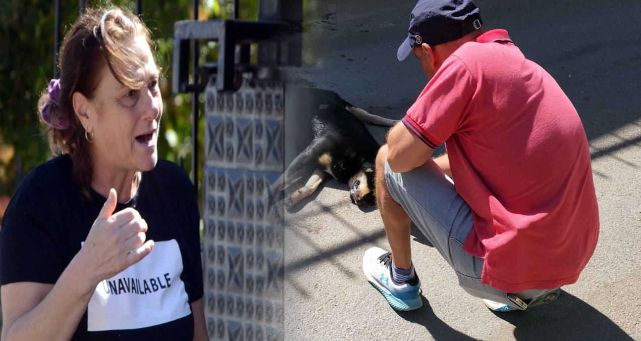 Mahalle yarış pistine döndü, olan canlara oldu