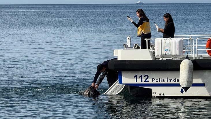 erdekte denizde ceset bulundu Omaj5rMJ.jpg