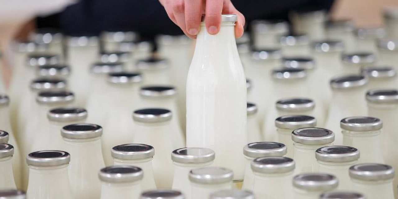 rekabet kurumu sut sektorunu uyardi agir para cezalari var VyeXhMlz