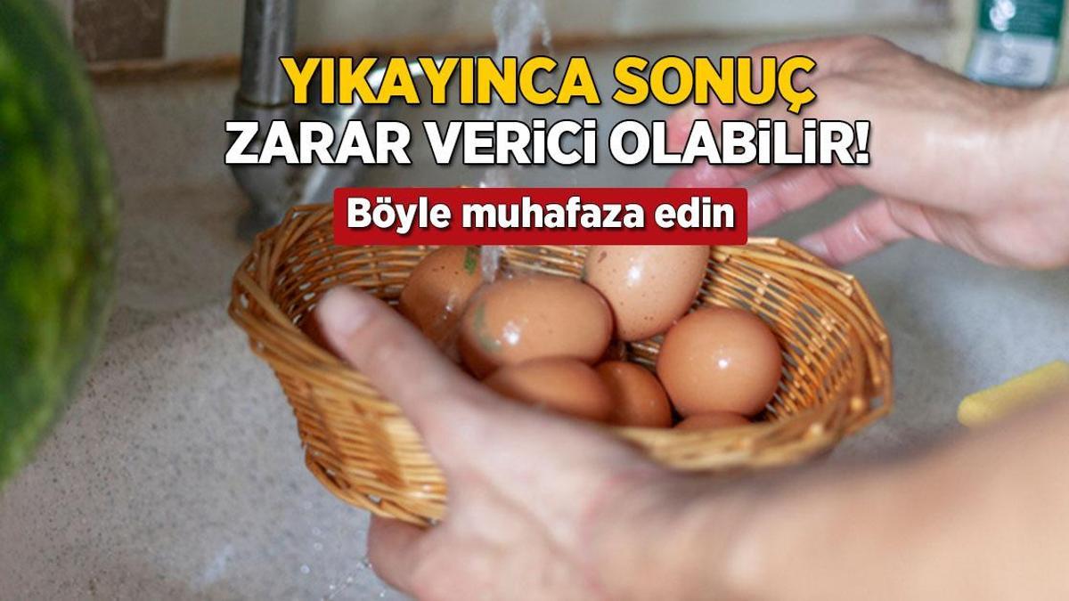 yikayinca sonuc salmonella bakterisi yumurtayi boyle muhafaza etmek sart 5dy6FPxK.jpg
