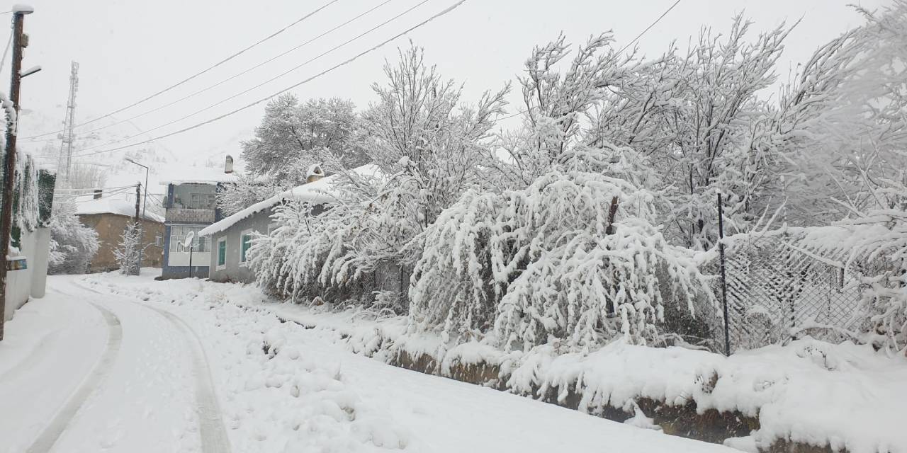 Van’da 11 yerleşim yerine kar engeli